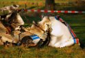 Kleinflugzeug abgestuerzt Sankt Augustin Meindorf P155